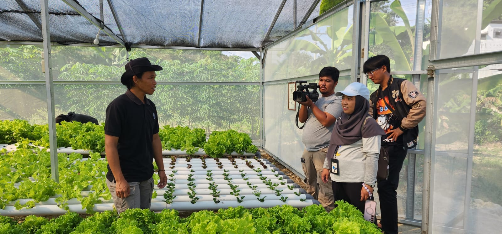 Kegiatan Hidroponik