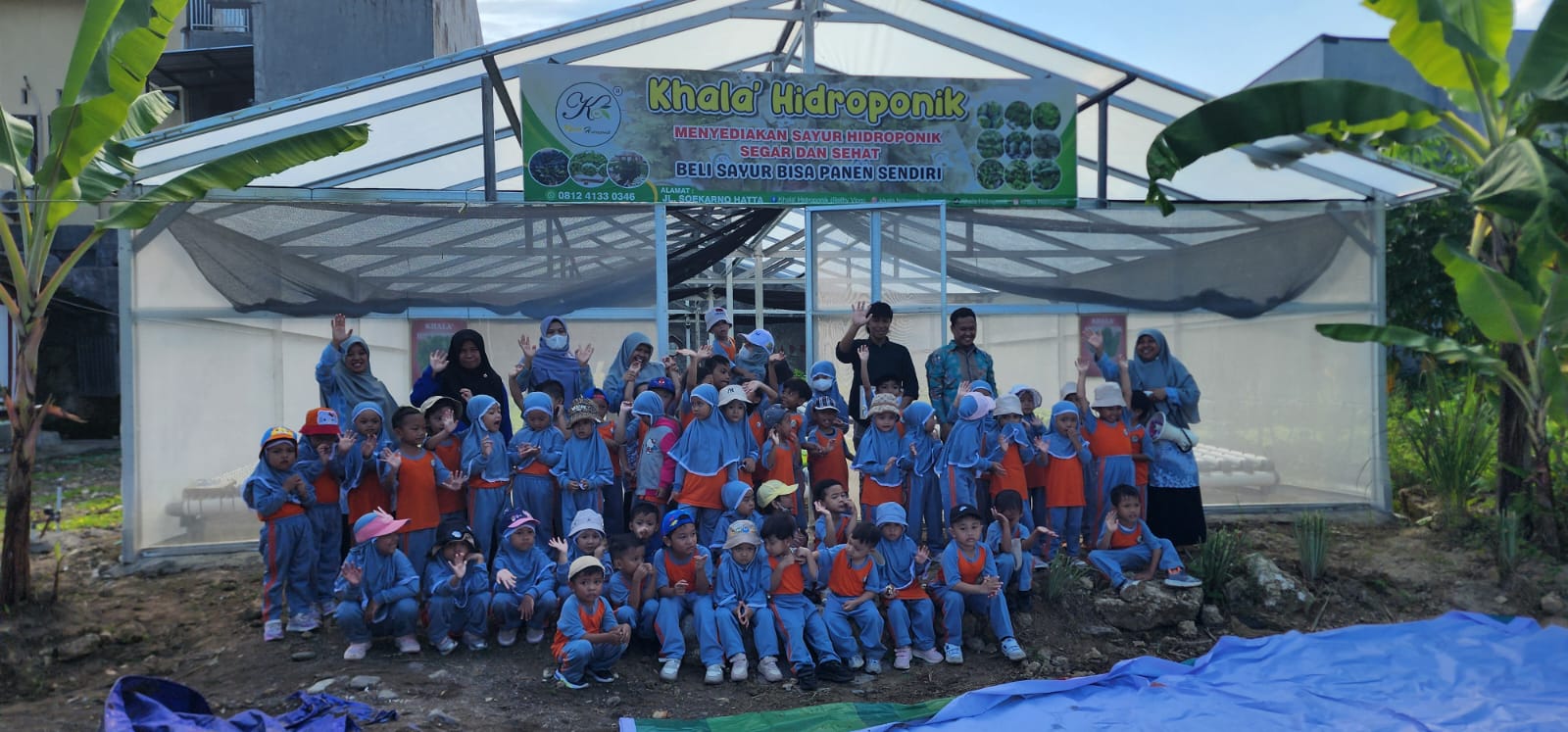 Kegiatan Hidroponik