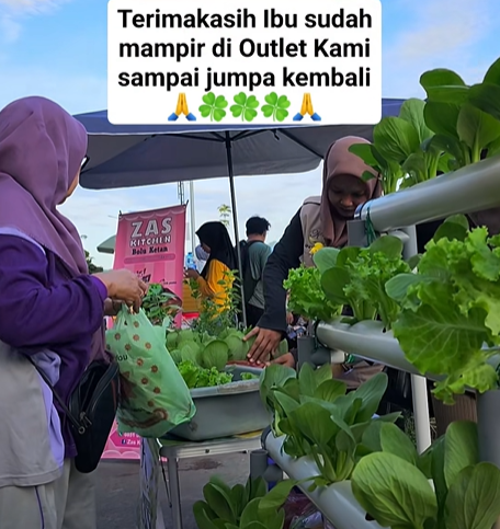Dekatkan Pertanian Modern ke Masyarakat, Khala Hidroponik Hadir Kenalkan Sayur Segar di Car Free Day Mamuju